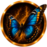Schmetterling